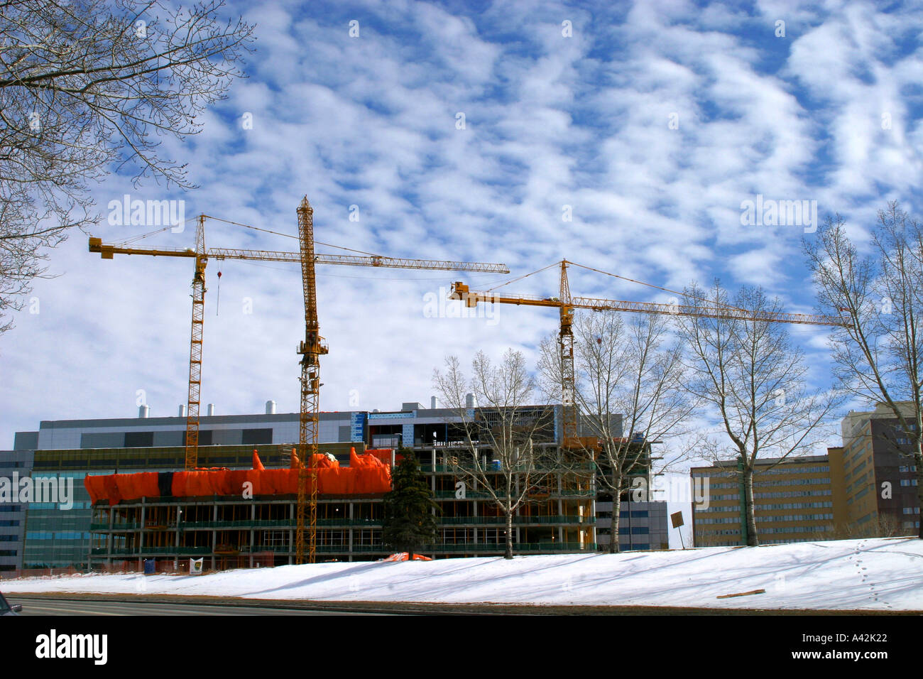 Construction crane at a children s hospital in Canada Stock Photo - Alamy