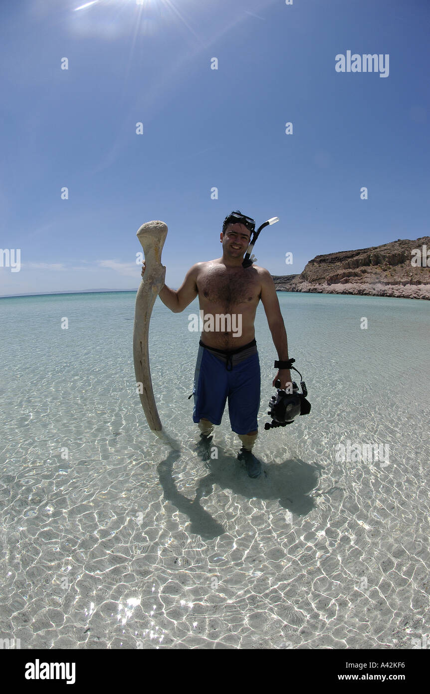 Whale skeleton underwater hi-res stock photography and images - Alamy