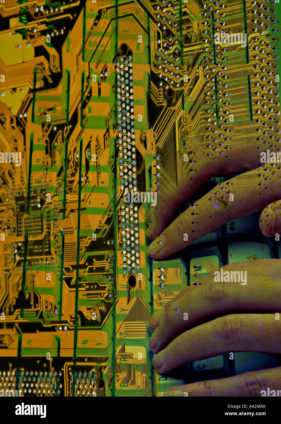 Computer motherboard with hands on computer keyboard Digital art Stock  Photo - Alamy