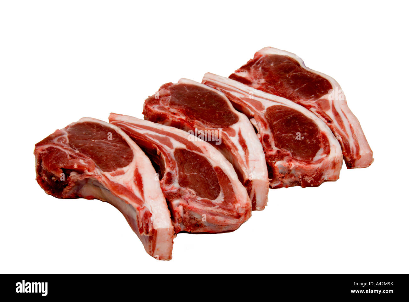 Raw Lamb Chops on White Background Stock Photo Alamy