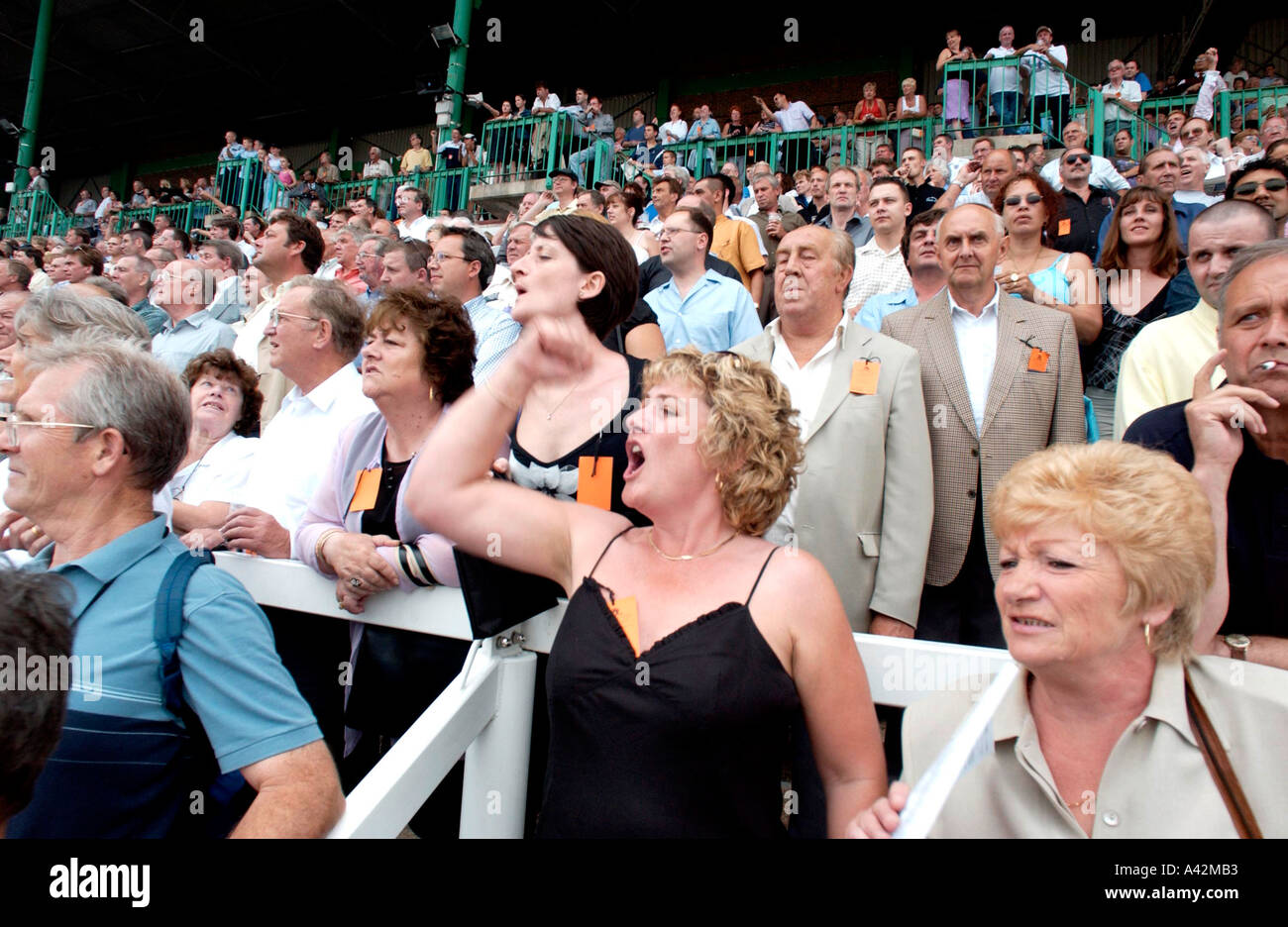 A blonde woman cheers her horse on in the crowded grandstand at Brighton races Stock Photo
