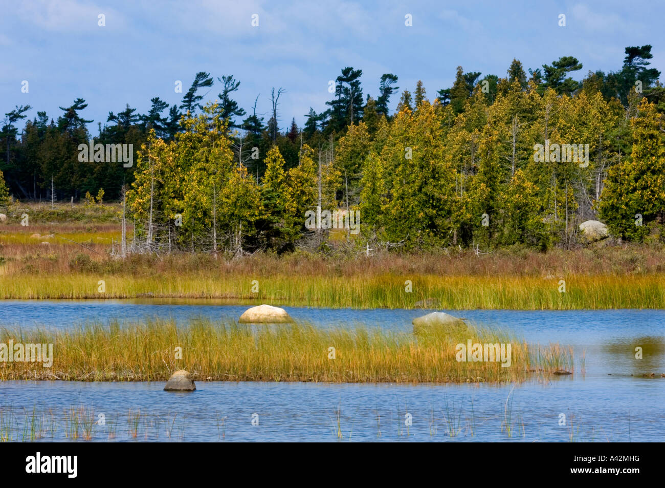 Reed beds and boulders in alvar pond, Little Current, Manitoulin Island