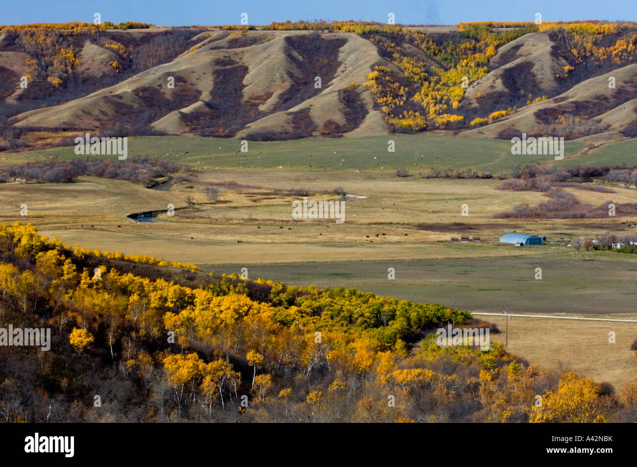 Qu'Appelle Valley agricultural scenic, Qu'Appelle Valley, Saskatchewan ...