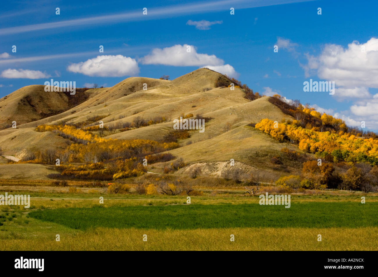 Qu'Appelle Valley agricultural scenic, Qu'Appelle Valley, Saskatchewan ...