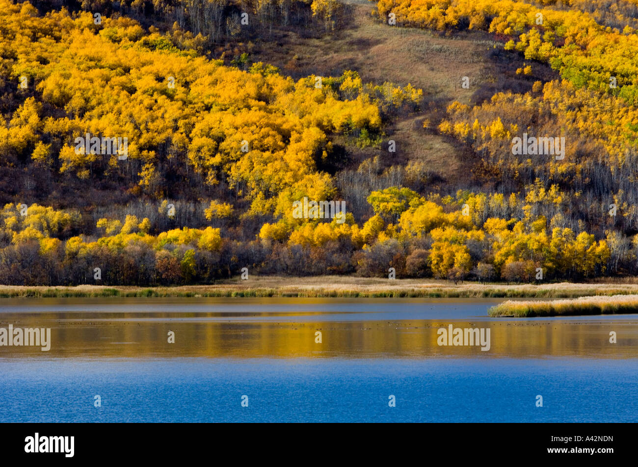 Qu'Appelle Valley- Crooked Lake, Qu'Appelle Valley, Saskatchewan ...