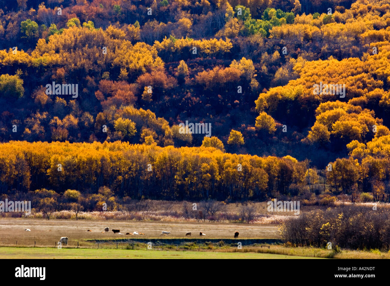 Qu'Appelle Valley agricultural scenic, Qu'Appelle Valley, Saskatchewan ...