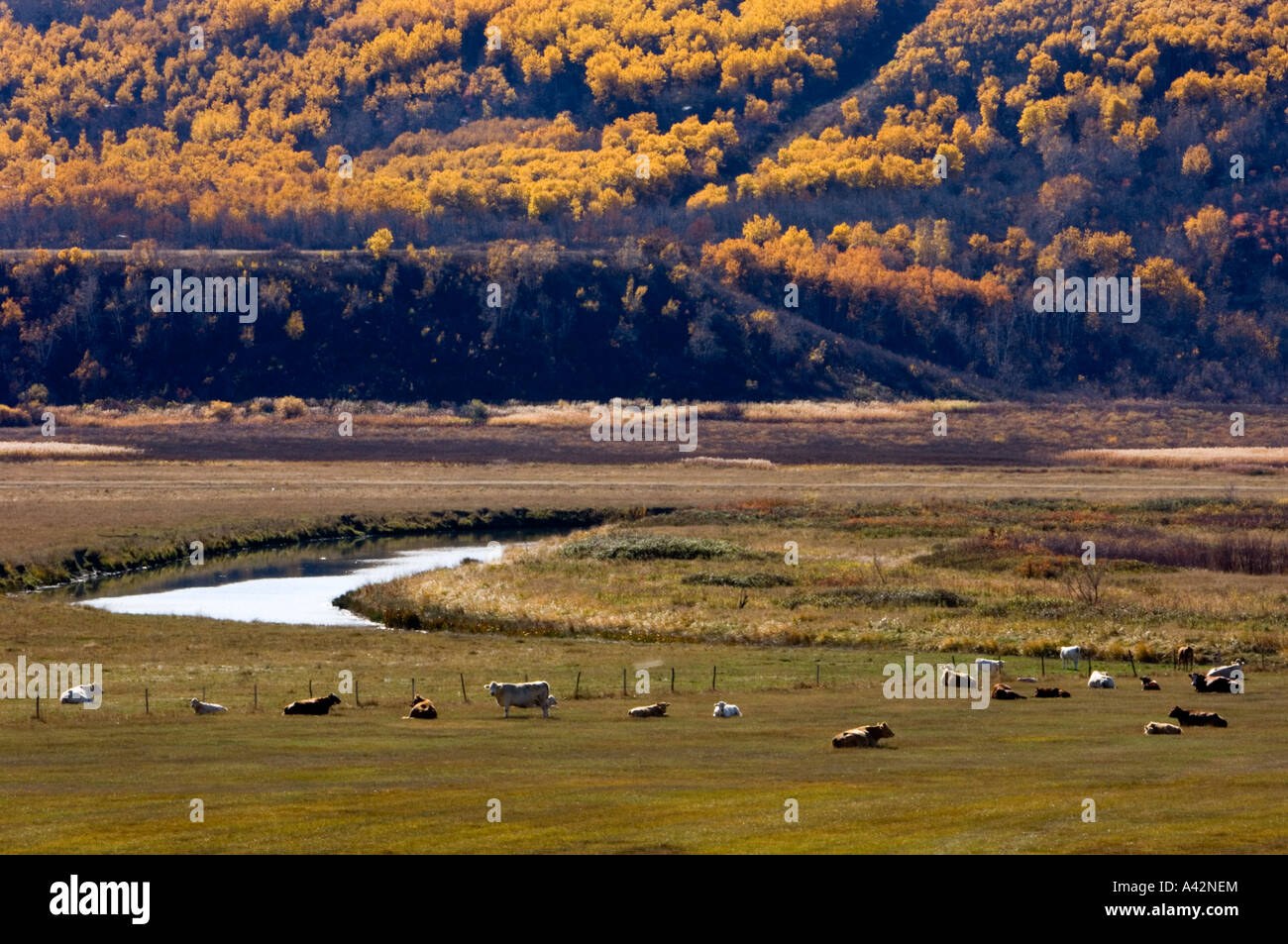 Qu'Appelle Valley agricultural scenic, Qu'Appelle Valley, Saskatchewan ...