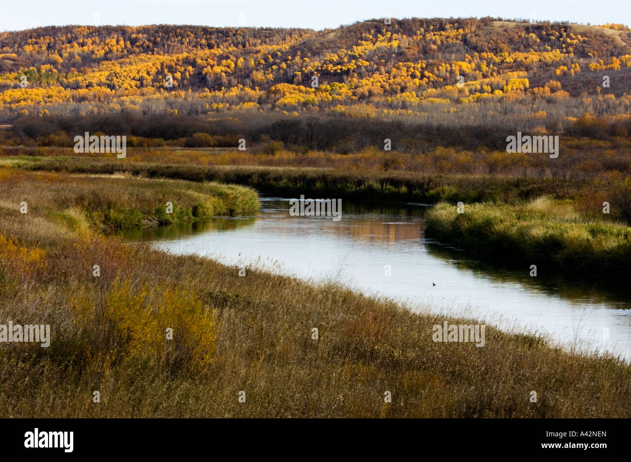 Qu'Appelle Valley- Qu'Appelle River, Qu'Appelle Valley, Saskatchewan ...
