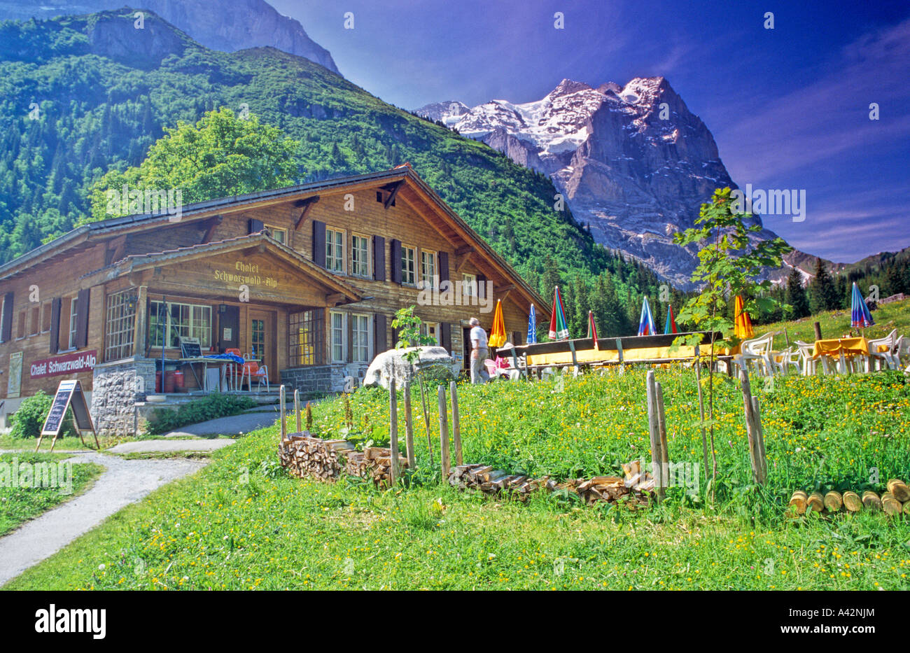 Chalet Schwarzwald Alp in the Rosenlauital near Meirengen Switzerland  Wetterhorn in the background Stock Photo - Alamy