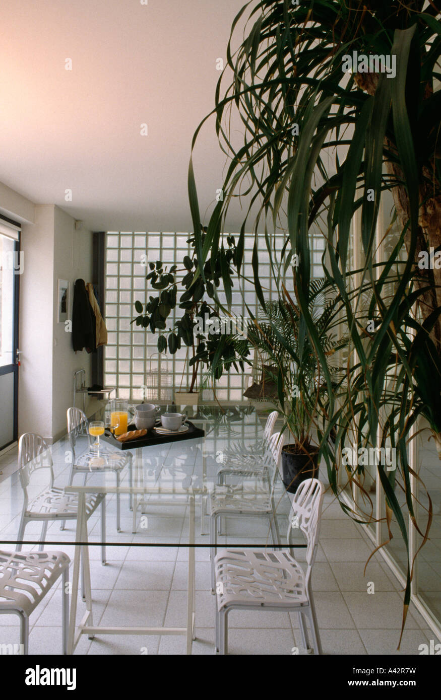White metal chairs and glass table in modern white diningroom with