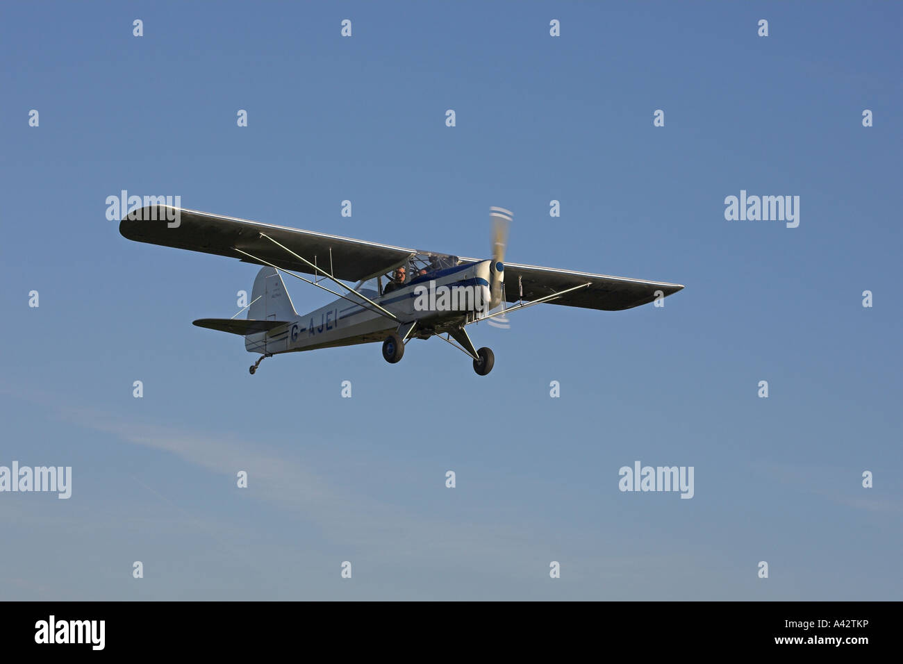 Auster J1N Alpha G-AJEI in flight at Netherthorpe Airfield, South Yorkshire, England Stock Photo