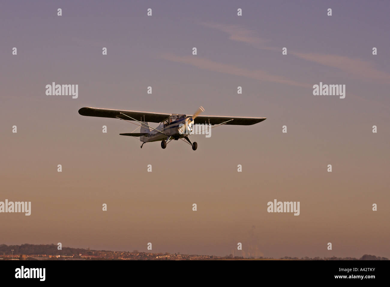 Auster J1N Alpha G-AJEI in flight taking off at sunset from  Netherthorpe Airfield, South Yorkshire, England Stock Photo