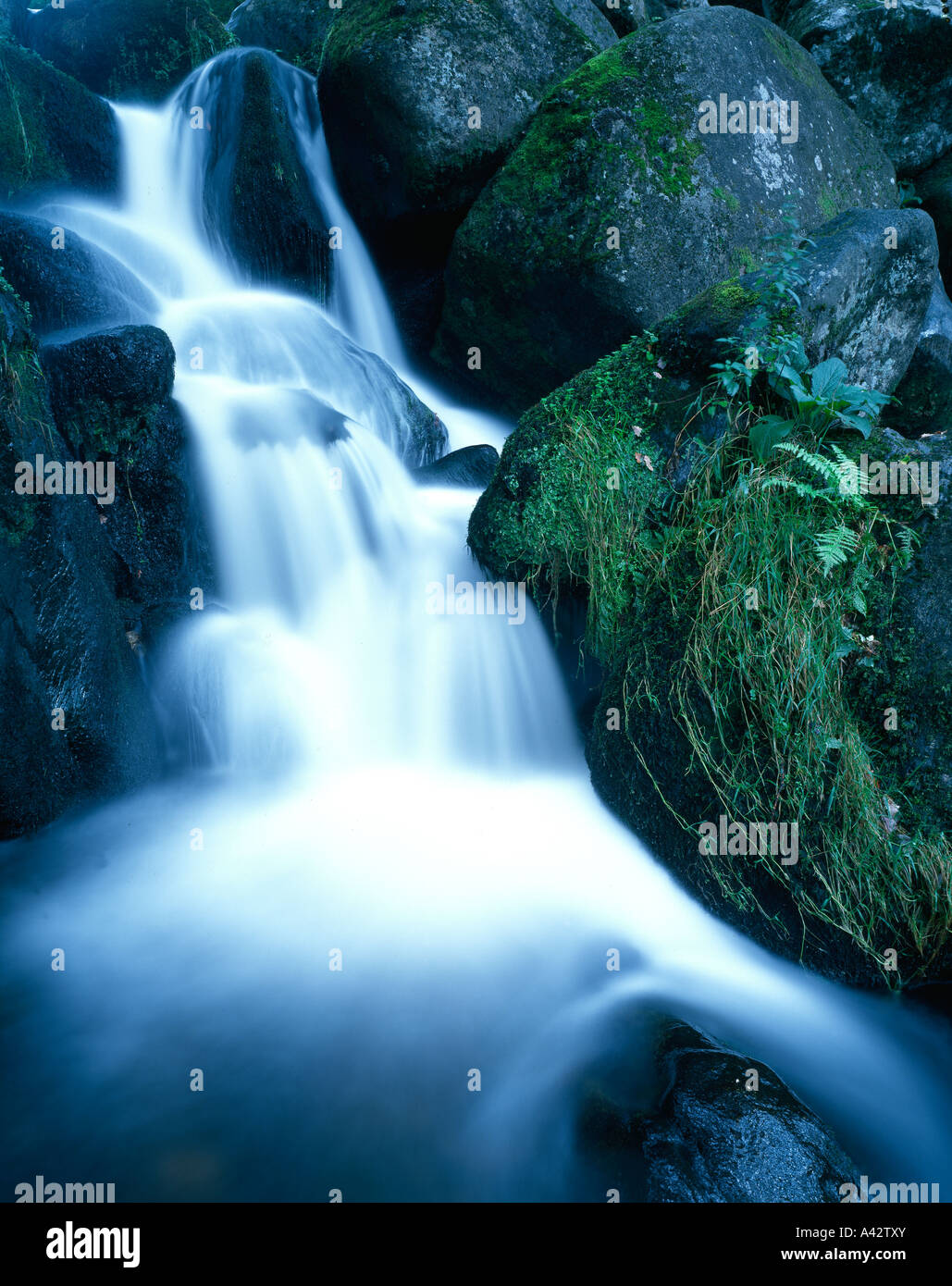 Becky Falls Dartmoor Devon England Stock Photo Alamy