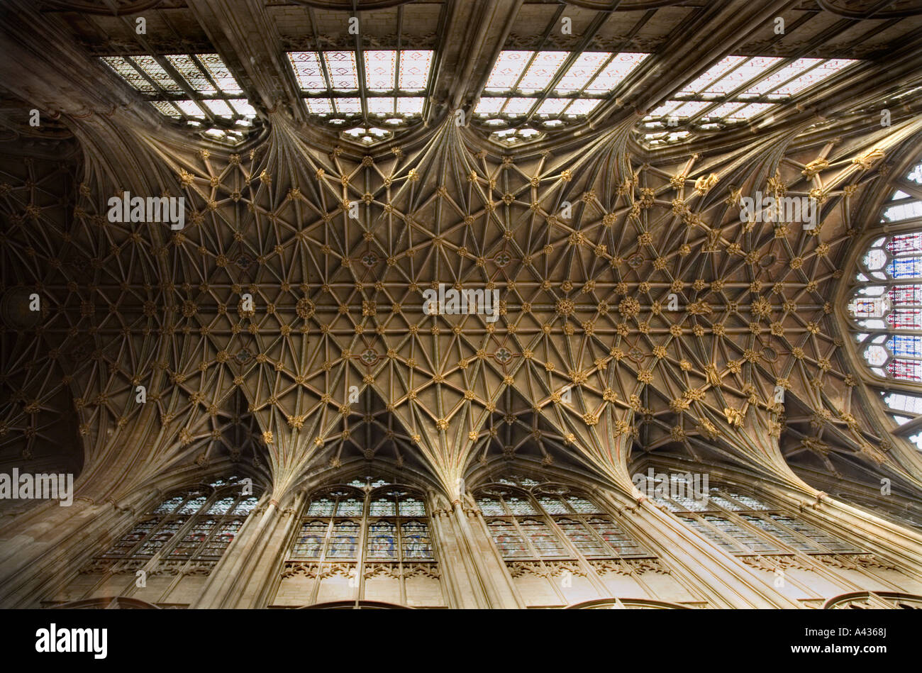 Lierne vaulting of Gloucester Cathedral choir vault / South transept ceiling Gloucestershire UK Stock Photo