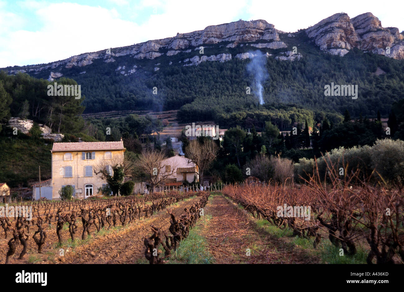 Cassis France French Riviera Provence wine Stock Photo Alamy