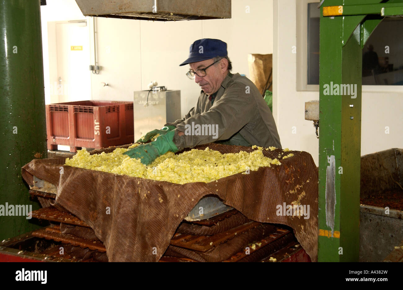 Apple drink production in Secondigny France Stock Photo