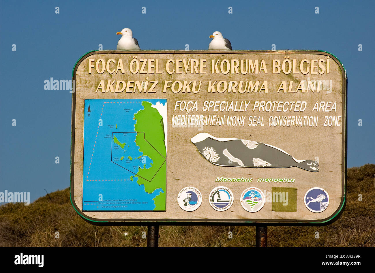 Foca specially protected area sign gulls sitting on, Izmir Turkey. Stock Photo