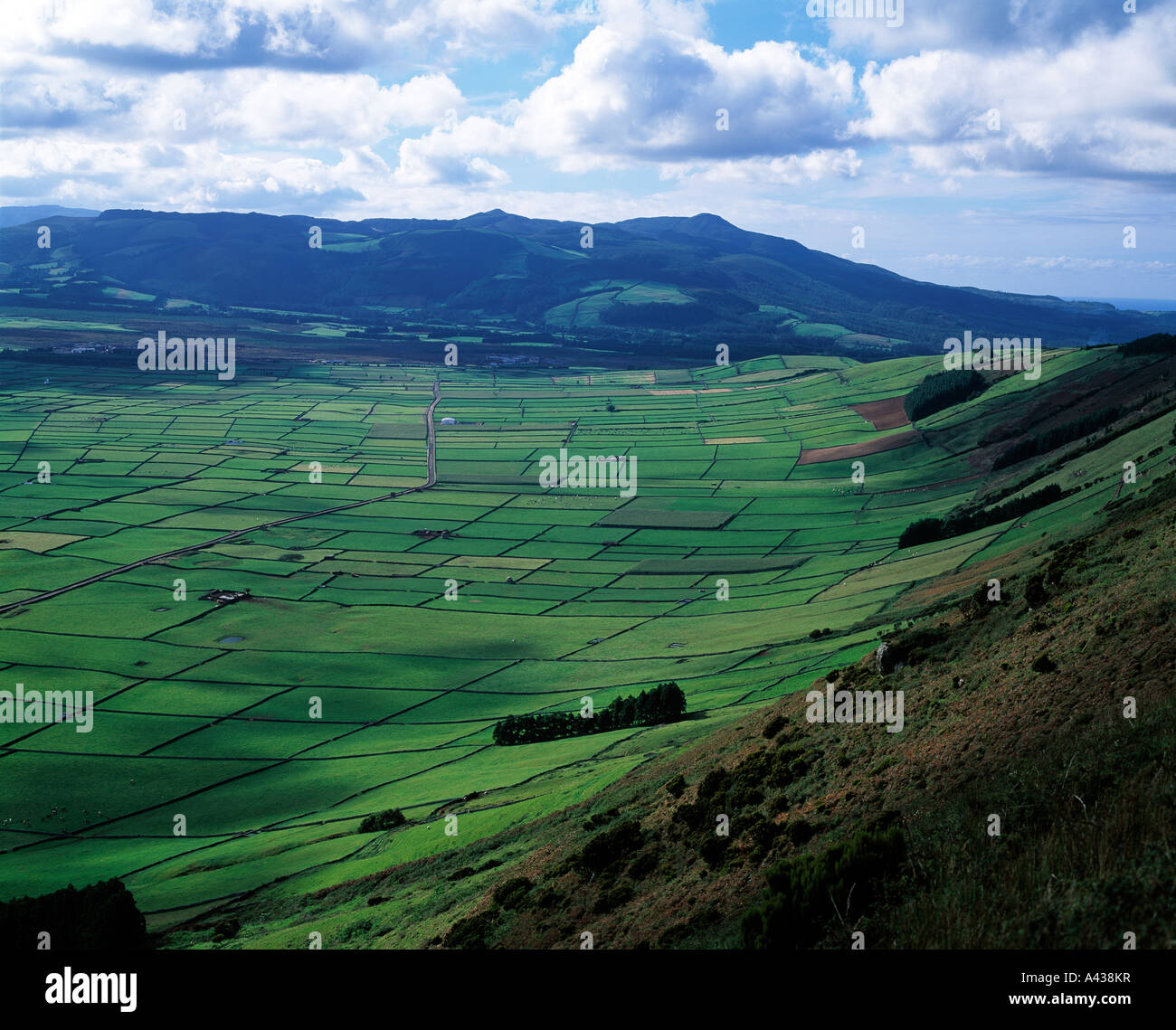 vast fertile valley floor of an atlantic volcanic island Stock Photo