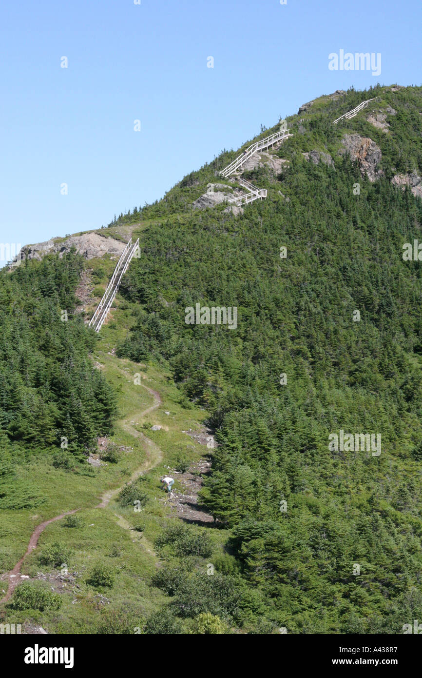 Hiking trail and steps to the top of Gun Hill, Harbour Breton