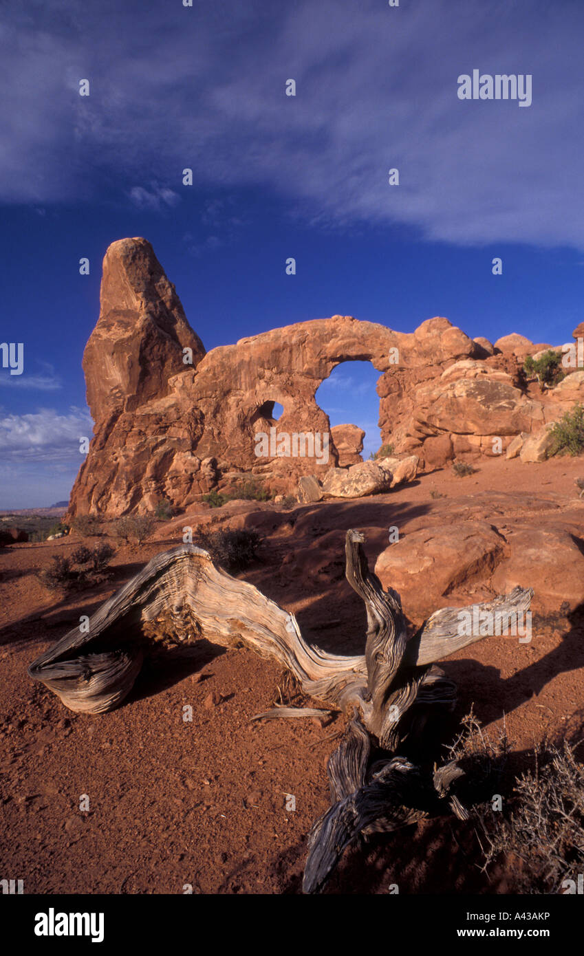 Sandstone columns in Arches National Park Utah USA Stock Photo - Alamy