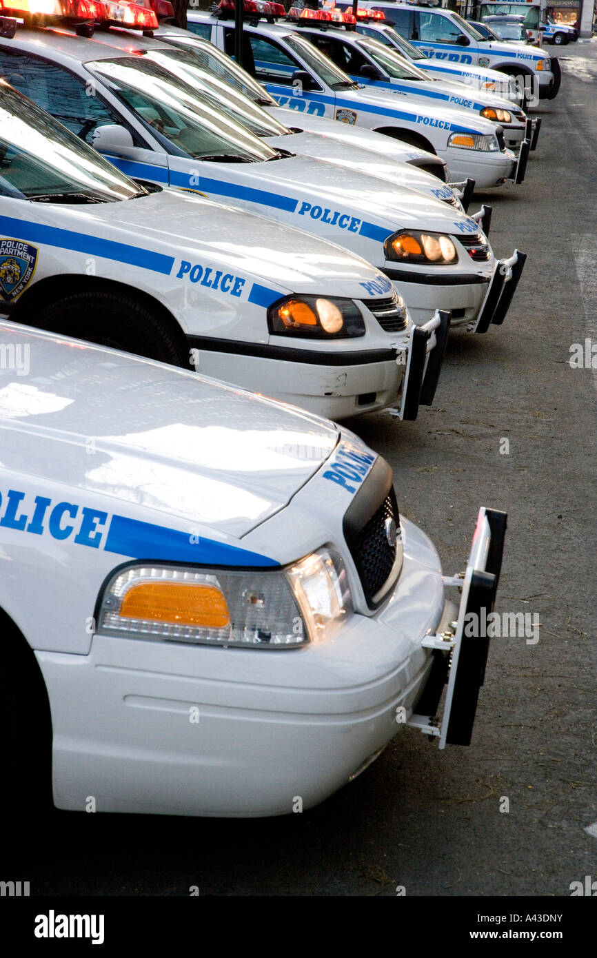 line of nypd police cars Stock Photo