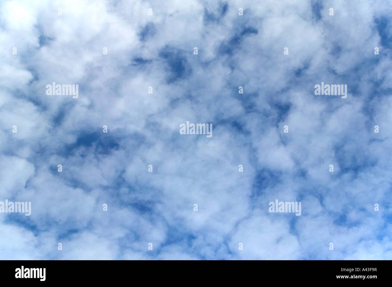 Blue sky covered in fluffy white clouds suitable for backgrounds Stock Photo