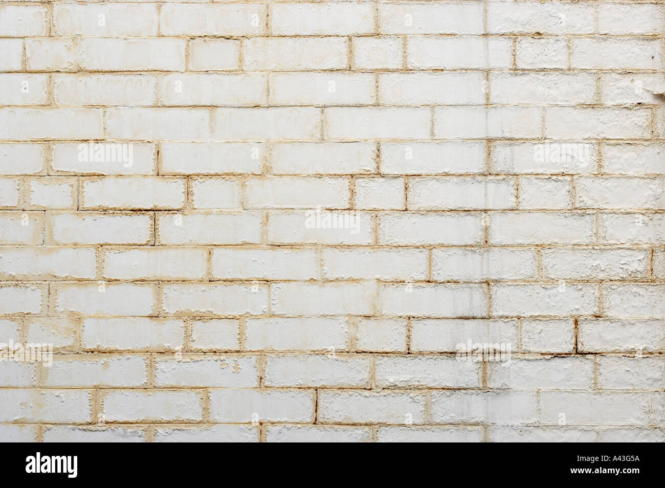 PEELING PAINT ON DAMP BRICK WALL Stock Photo Alamy