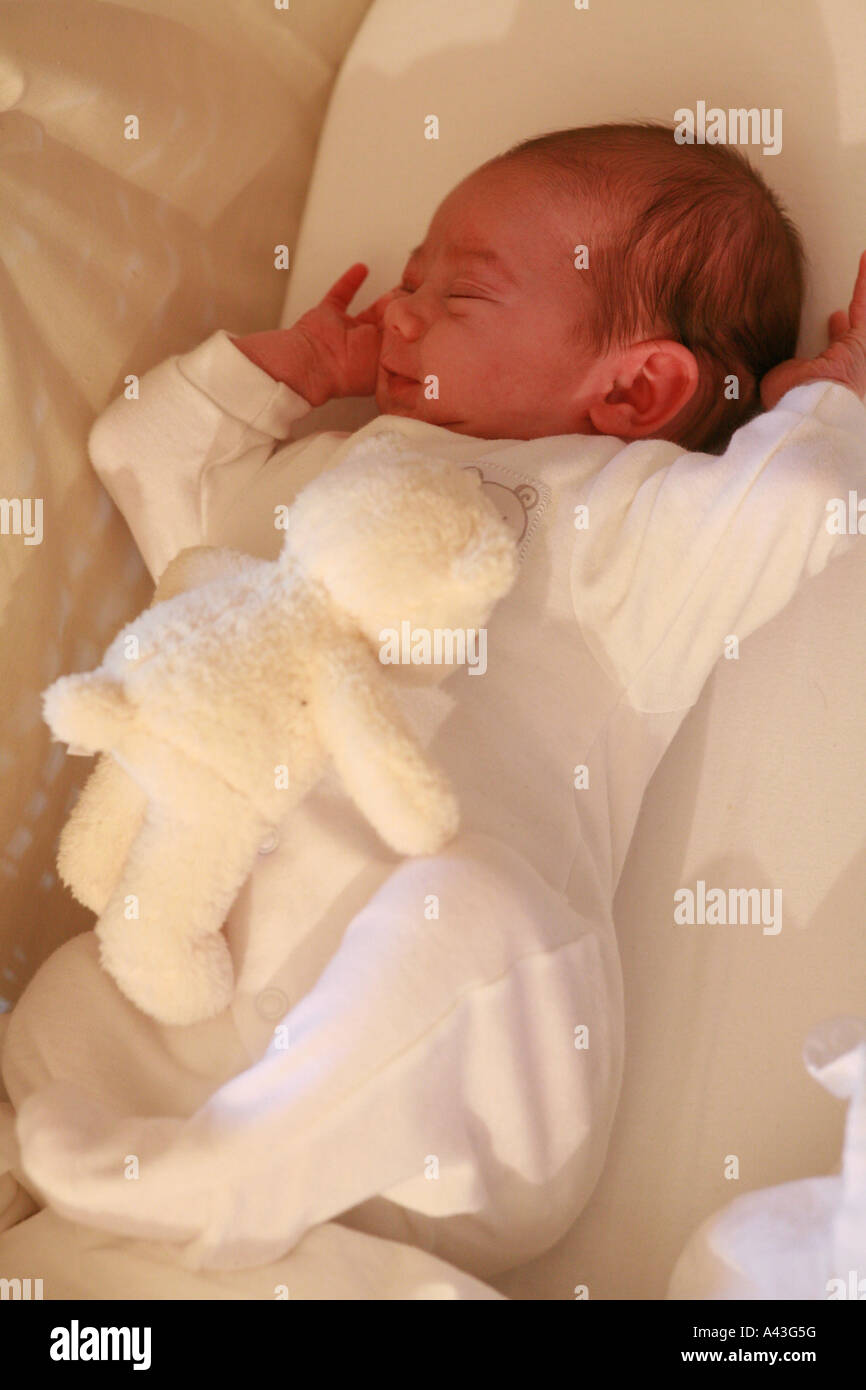 newborn sleeping in moses basket