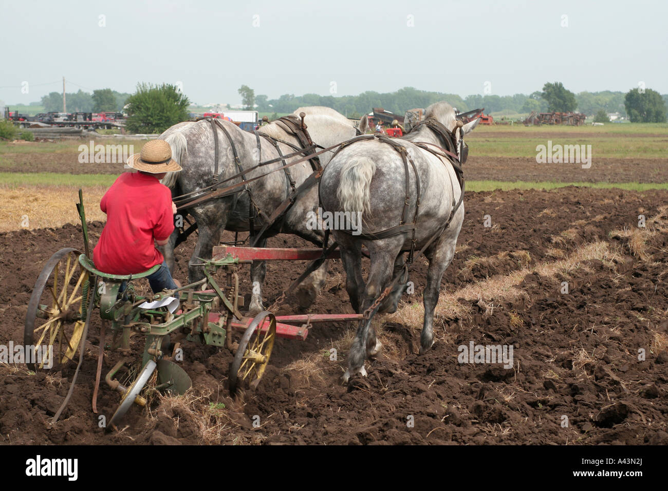 Horse Plough Stock Photo