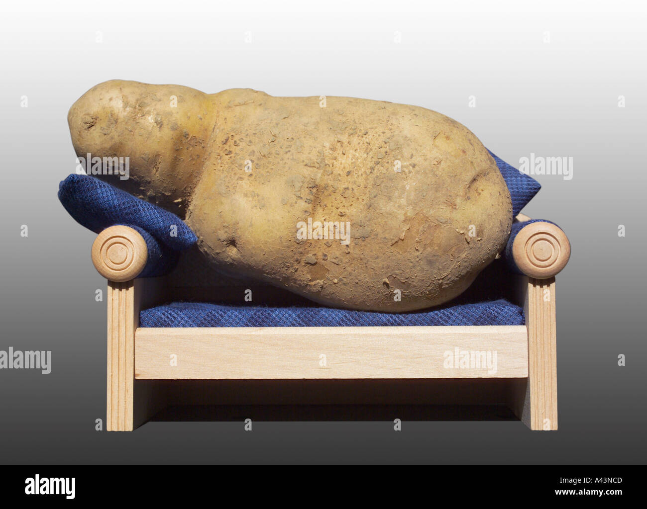 Couch Potato Stock Photo Alamy