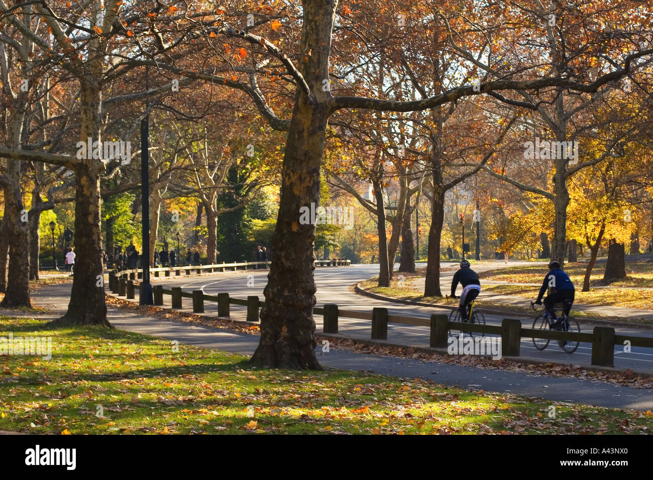 central park new york stati uniti