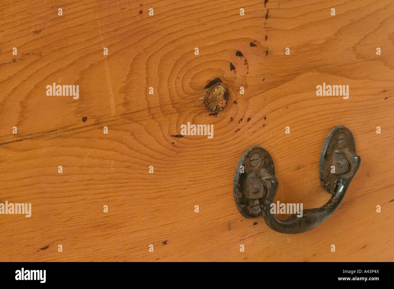 Rusted metal handle on an old pine trunk positioned in the lower right of frame Stock Photo