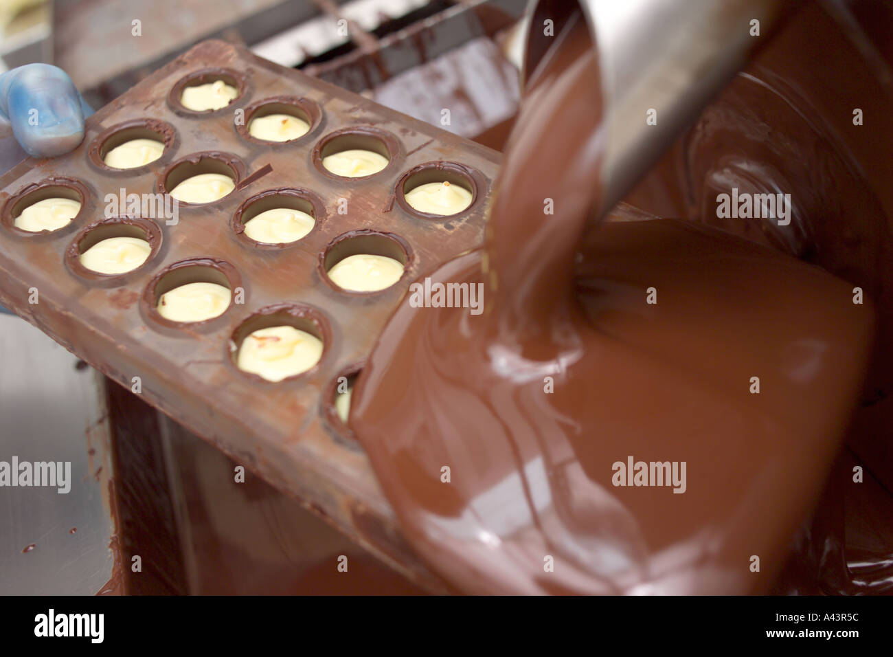 The process of making handmade chocolates Stock Photo