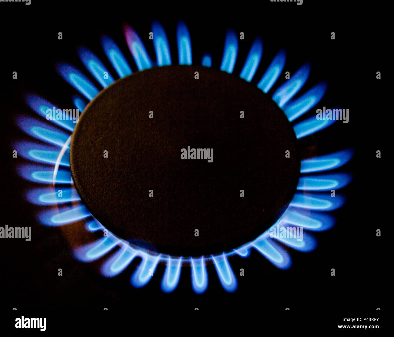 Flame on a gas burner Stock Photo Alamy
