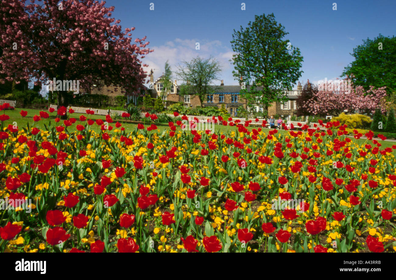 Floral display, Valley Gardens, Harrogate, North Yorkshire, England, UK