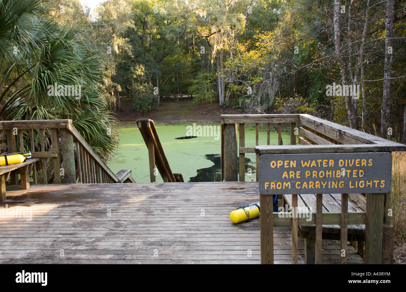 Wooden steps lead to pond for SCUBA diving at Manatee Springs State Park in Florida Stock Photo