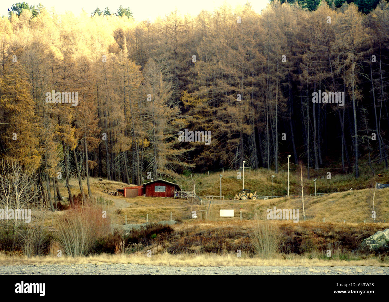SCENES FROM THE SOUTH ISLAND OF NEW ZEALAND Stock Photo - Alamy