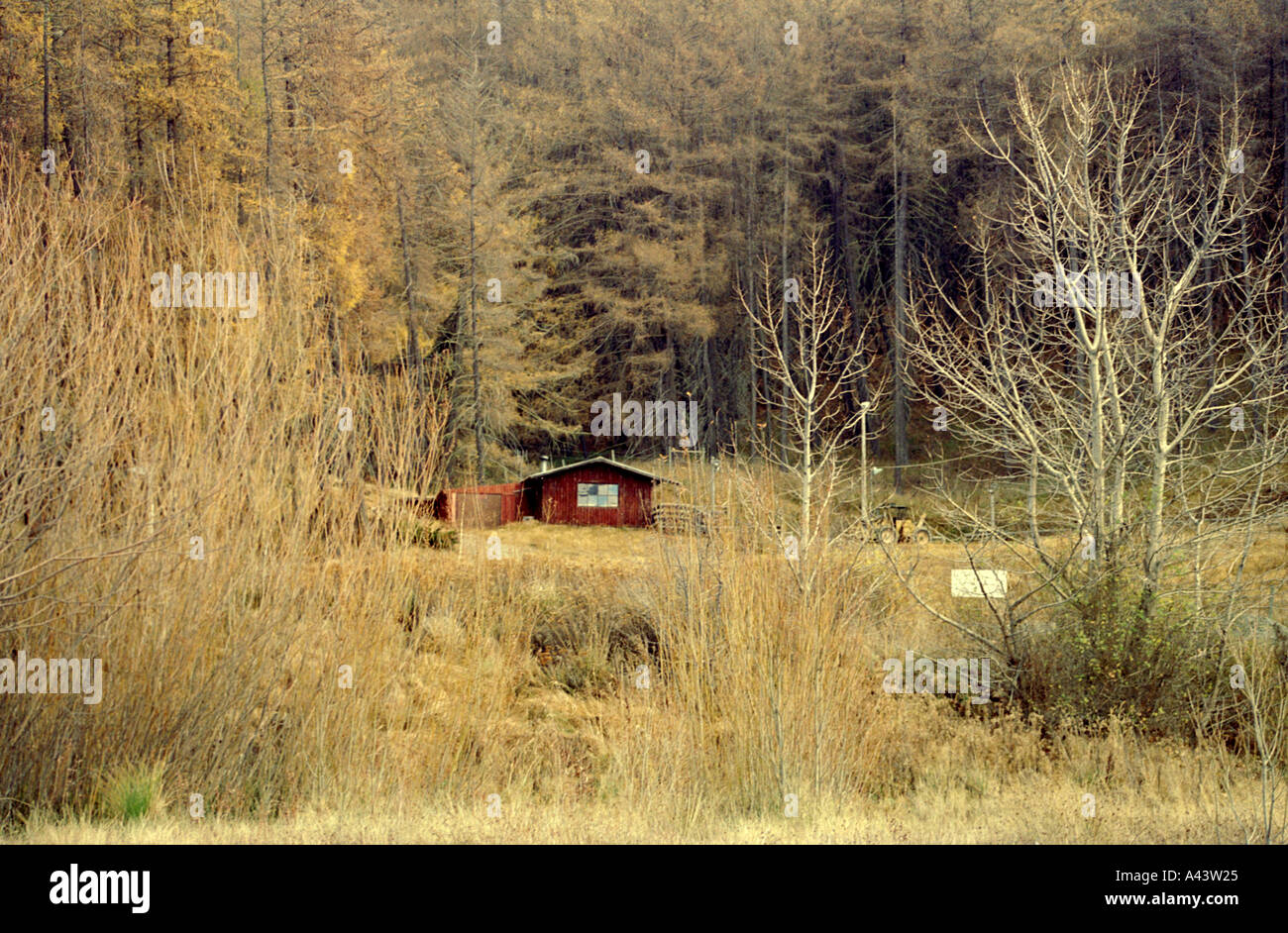 SCENES FROM THE SOUTH ISLAND OF NEW ZEALAND Stock Photo - Alamy