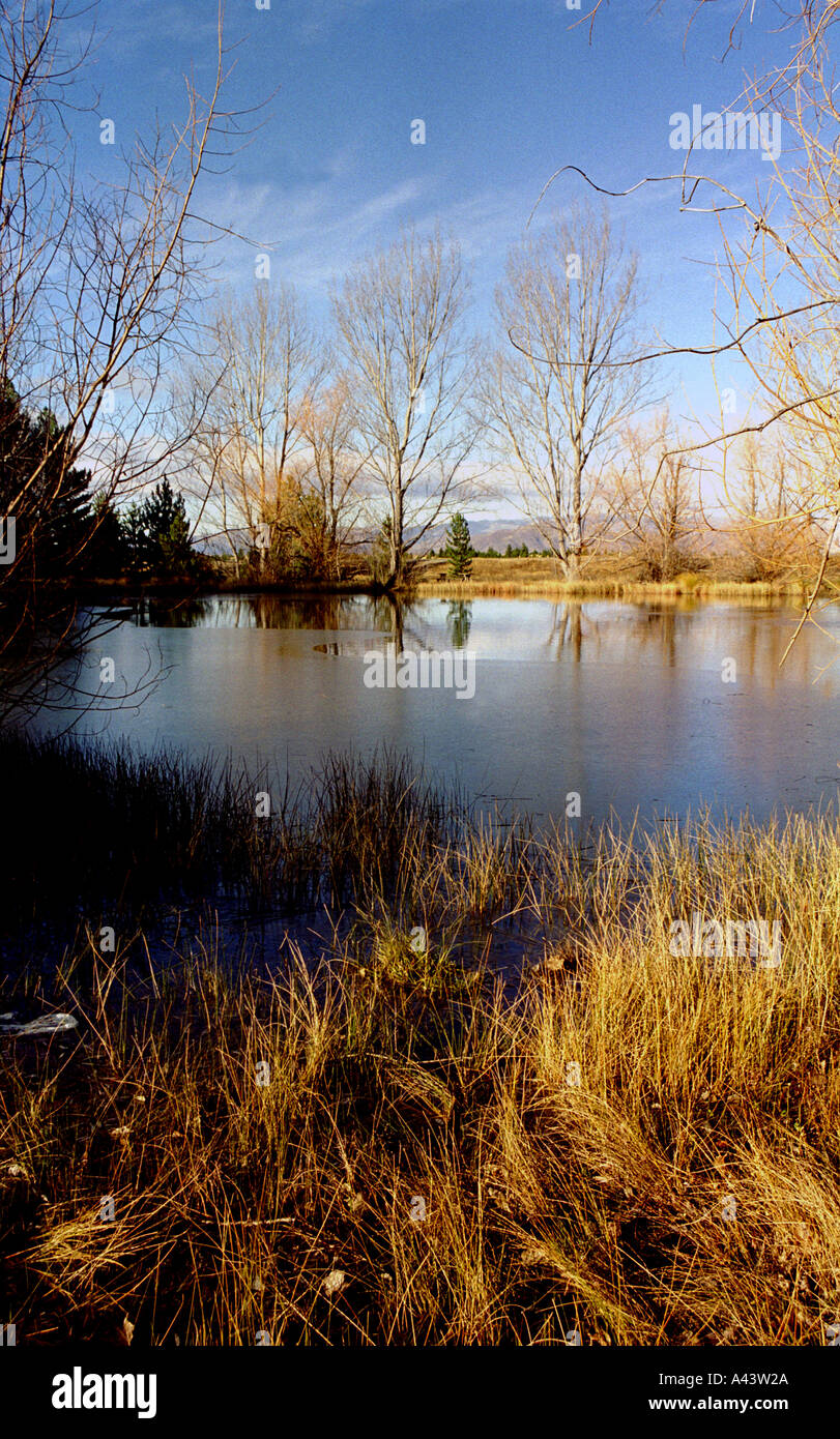 SCENES FROM THE SOUTH ISLAND OF NEW ZEALAND Stock Photo - Alamy