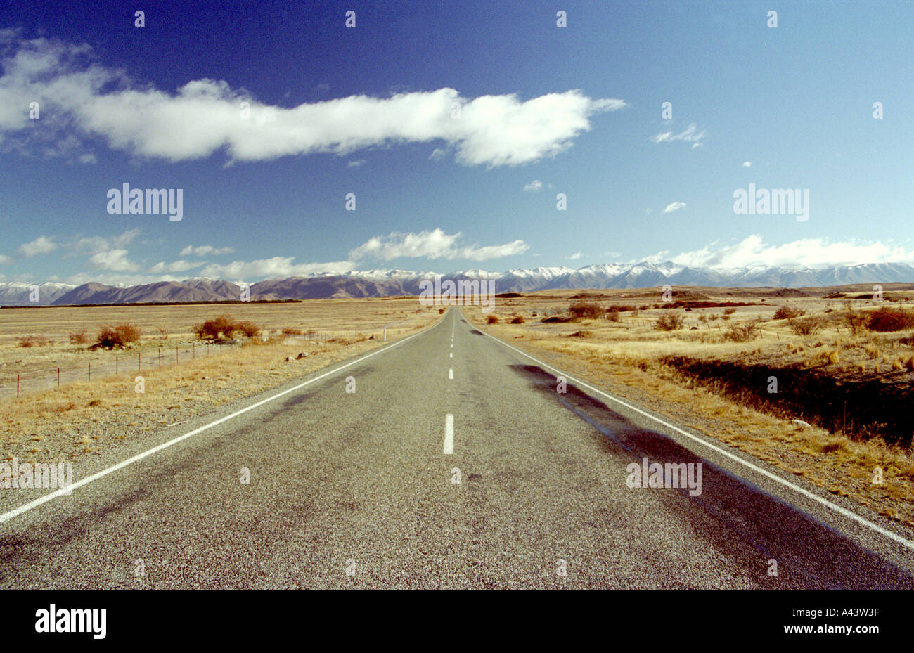 SCENES FROM THE SOUTH ISLAND OF NEW ZEALAND Stock Photo - Alamy