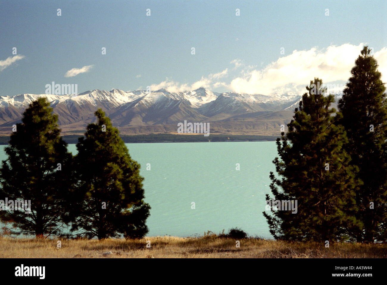 SCENES FROM THE SOUTH ISLAND OF NEW ZEALAND Stock Photo - Alamy