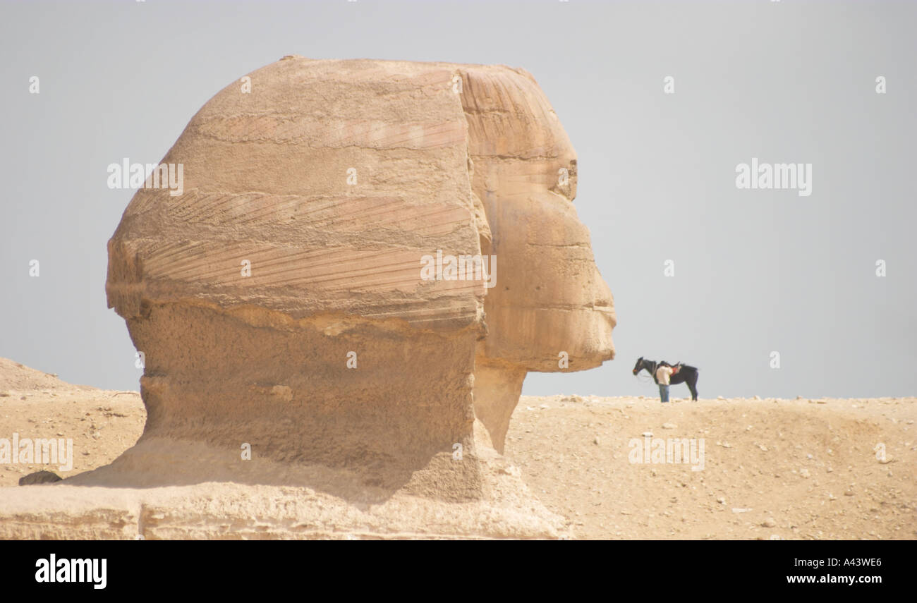 The Sphinx Cairo Egypt Stock Photo