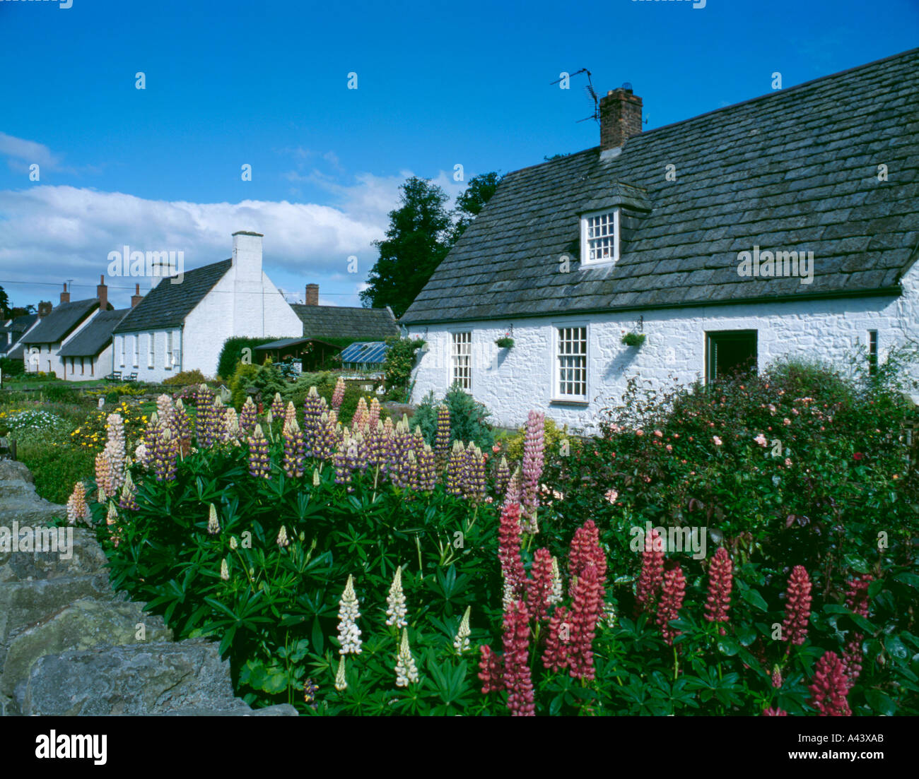 Whitewashed stone cottages and gardens, Etal village, Northumberland