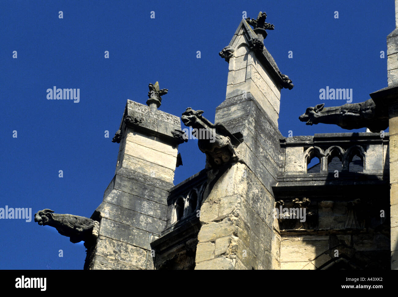 Clamecy Church Gargoyle France French Stock Photo