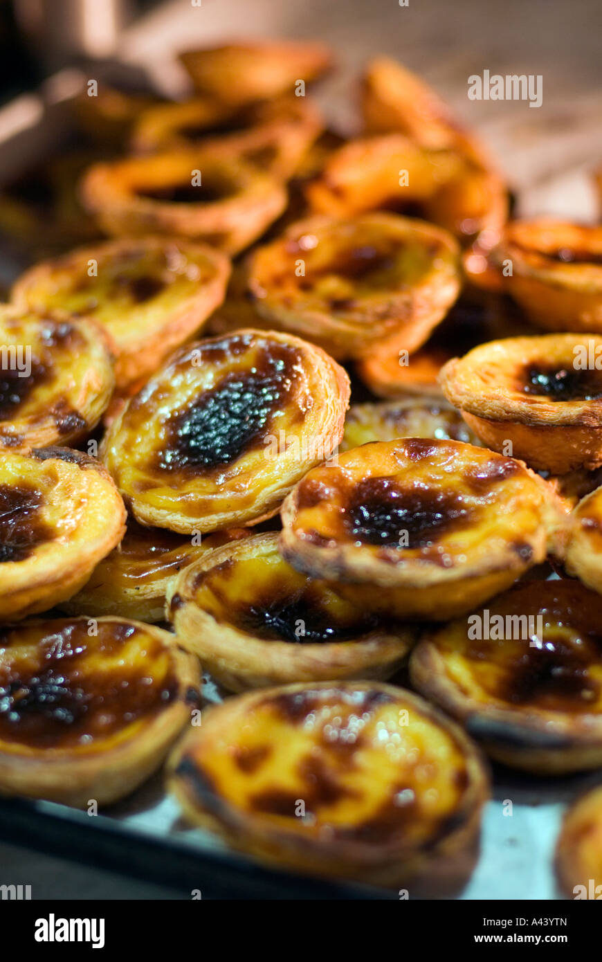 Traditional Portuguese custard tarts PASTEIS DE NATA in a cafe bakery ...
