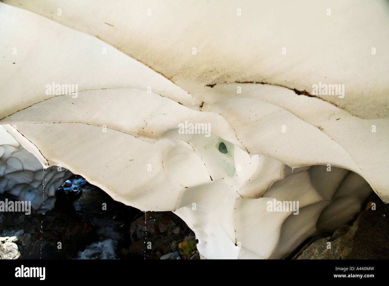 CALIFORNIA Lake Tahoe Snow melting into spring along Glen Alpine trail in summer drops of water