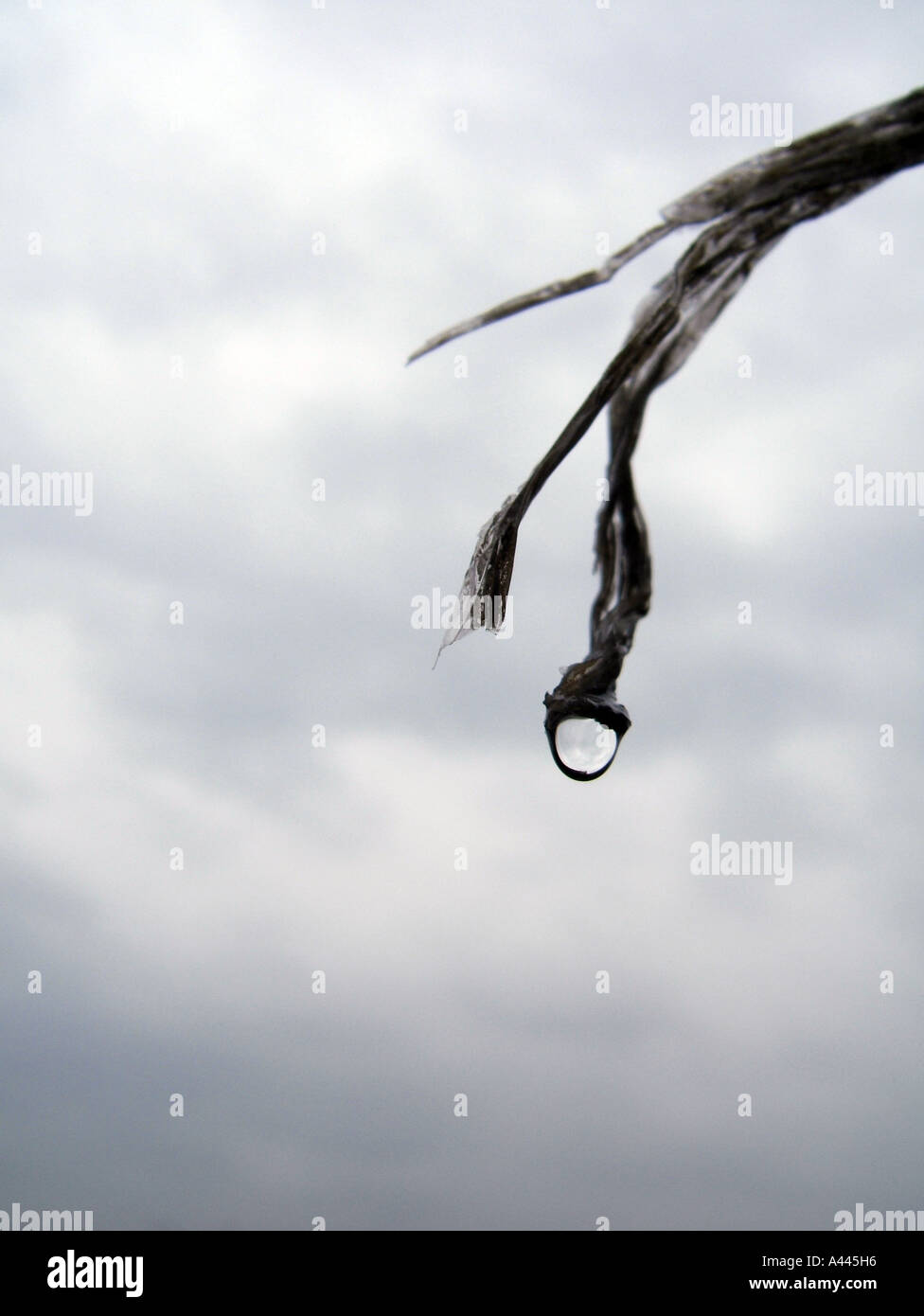 Drooping String droplet on piece of string Stock Photo - Alamy