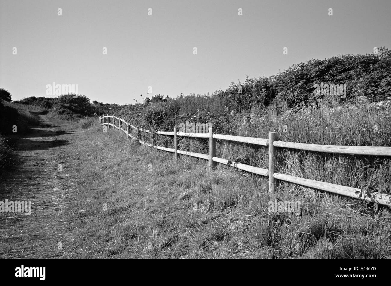 Simple Black and White Landscape fence and farmland New England Stock ...