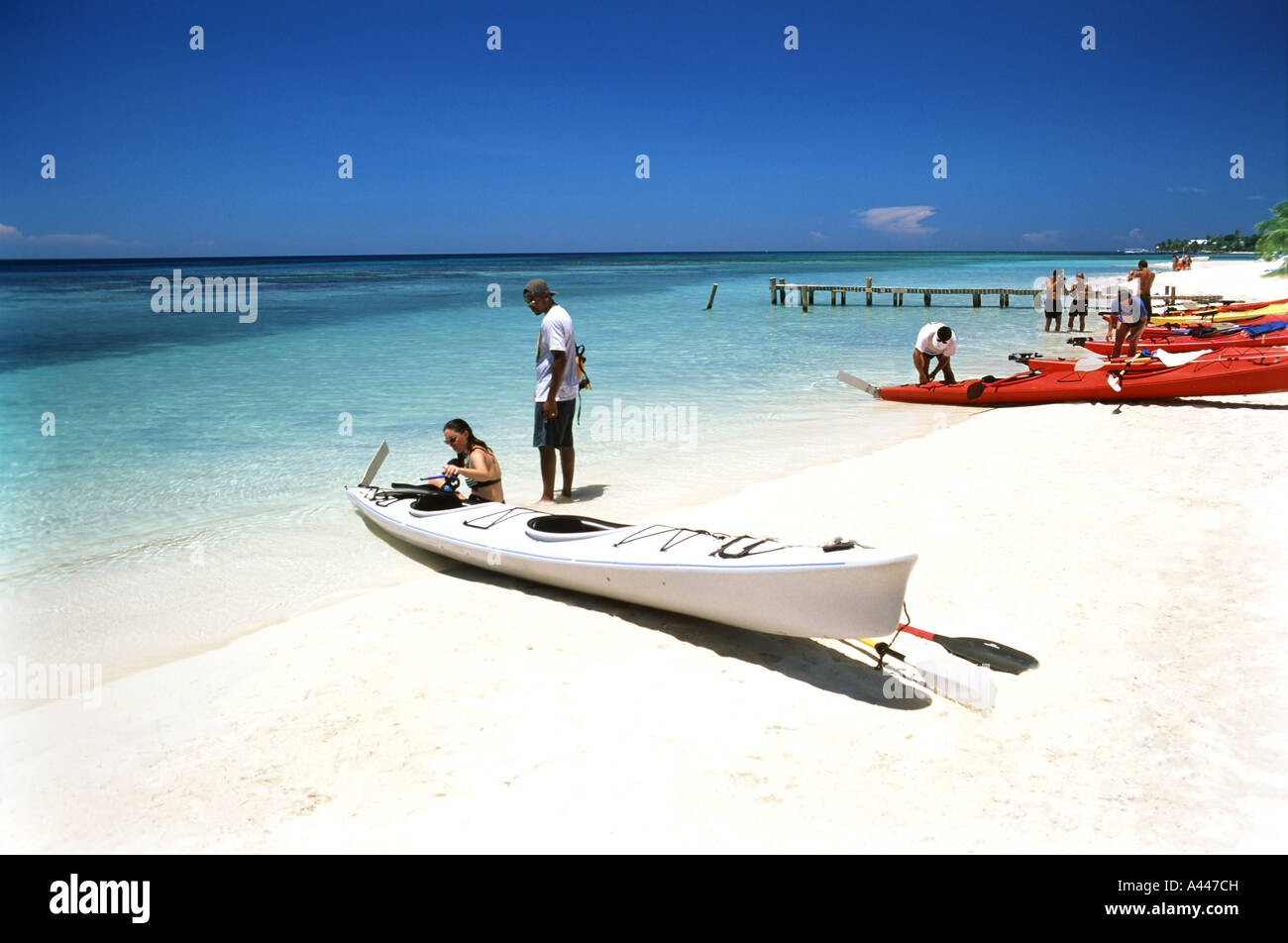 Kayakers on white sandy tropical beach Roatan Honduras Stock Photo - Alamy