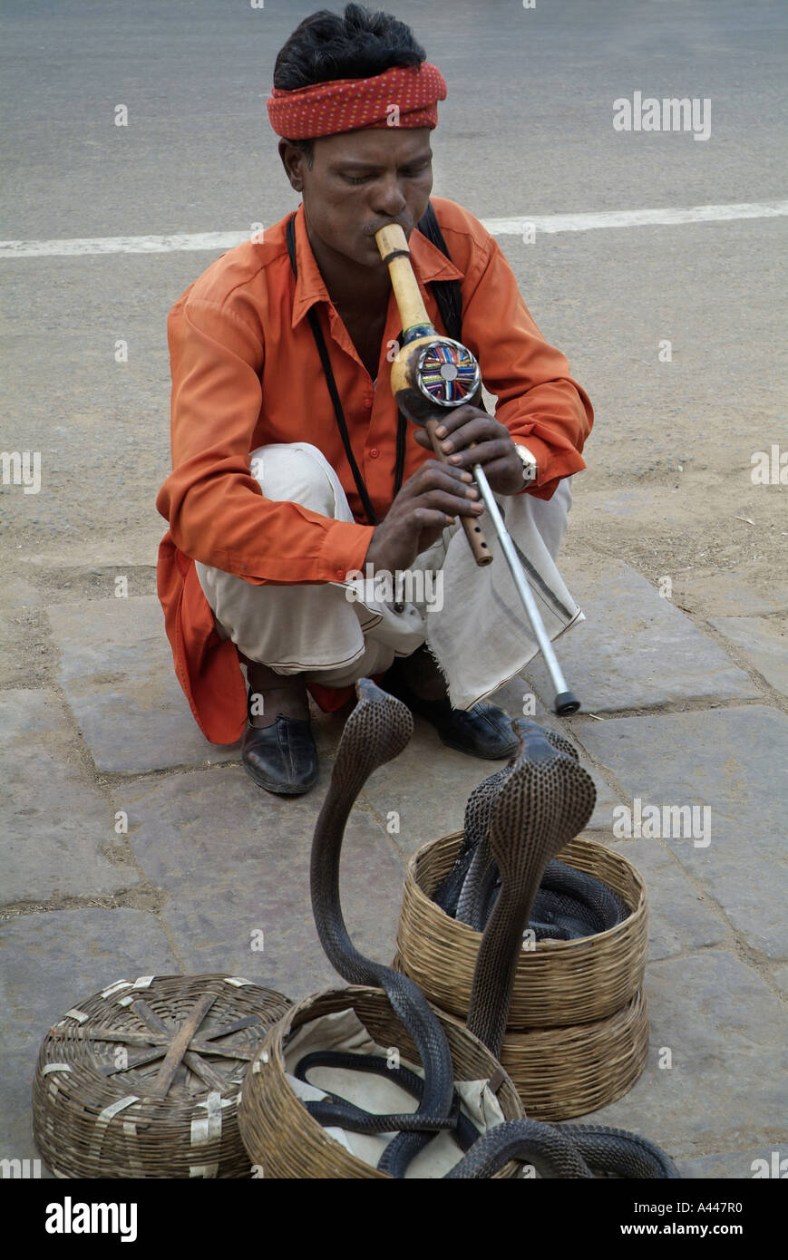 Snake Charmer in Jaipur, India Stock Photo - Alamy